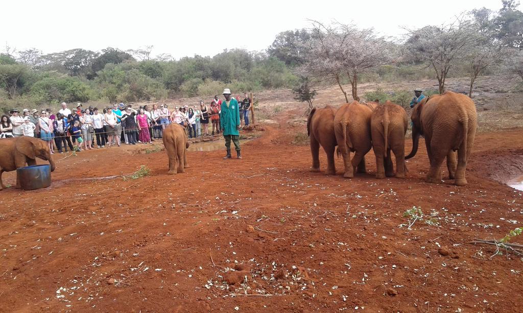 Kepro Farm Lägenhet Nairobi Exteriör bild