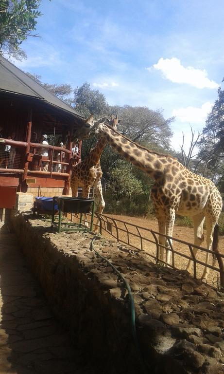 Kepro Farm Lägenhet Nairobi Exteriör bild