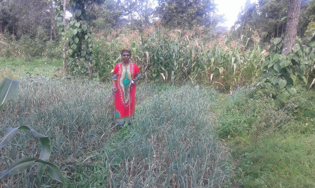 Kepro Farm Lägenhet Nairobi Exteriör bild