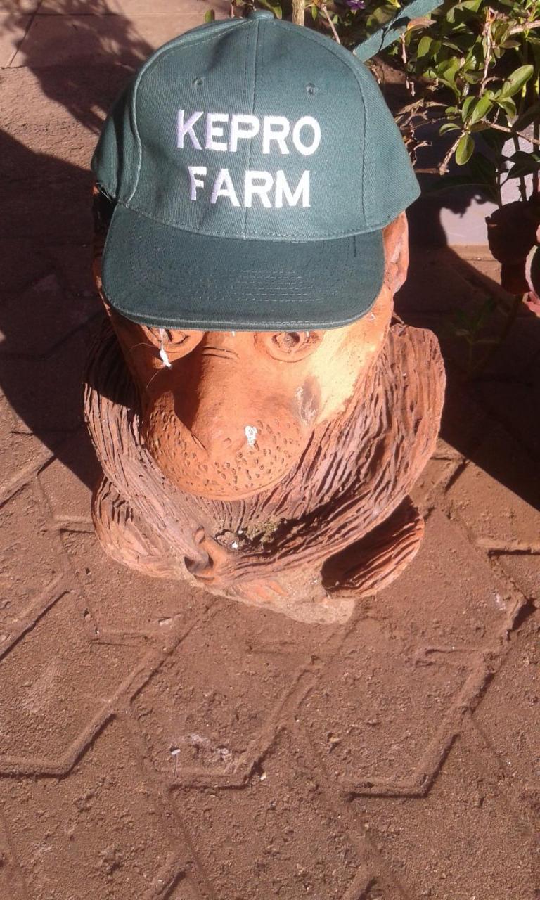 Kepro Farm Lägenhet Nairobi Exteriör bild