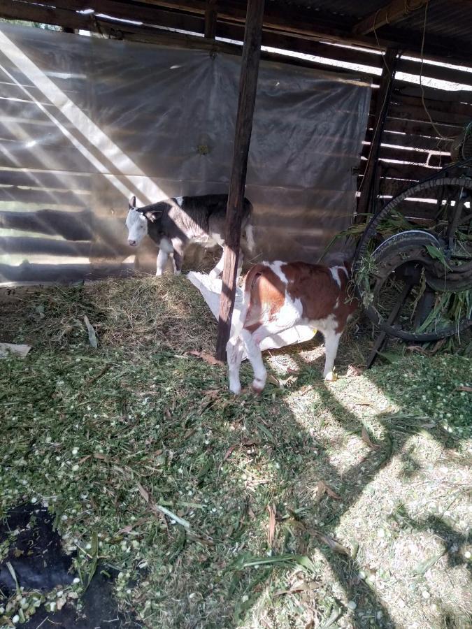 Kepro Farm Lägenhet Nairobi Exteriör bild