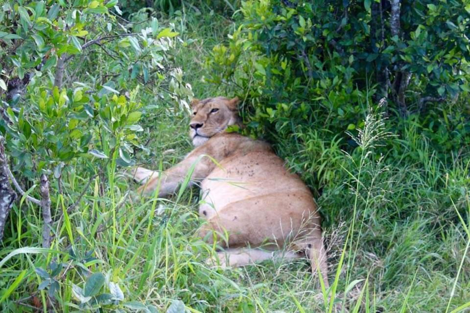 Kepro Farm Lägenhet Nairobi Exteriör bild
