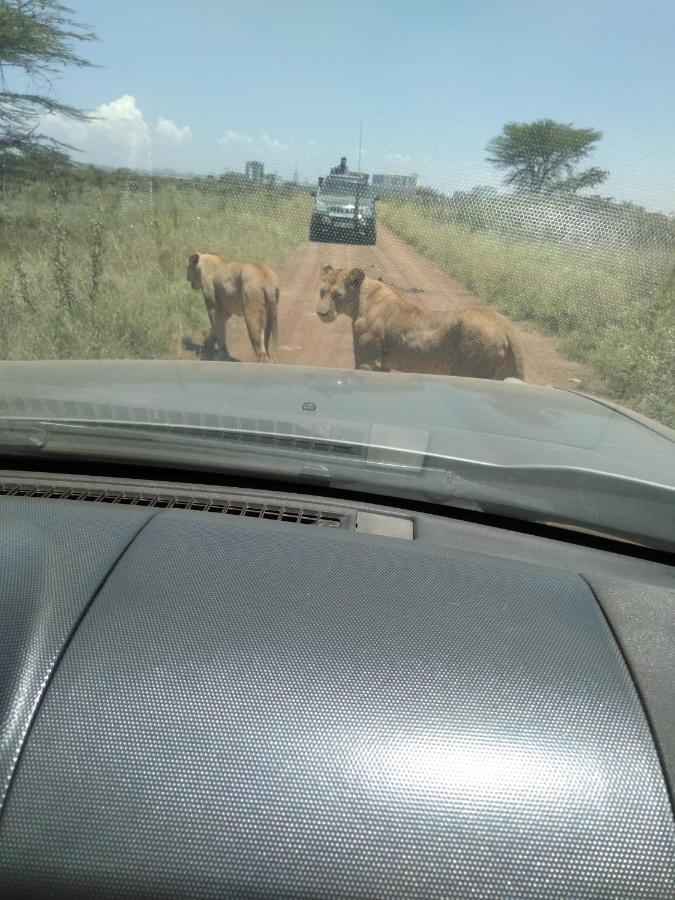 Kepro Farm Lägenhet Nairobi Exteriör bild